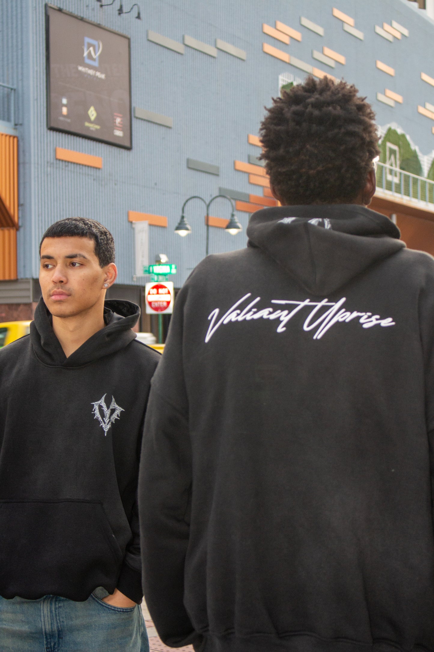 Valiance Reborn Hoodie