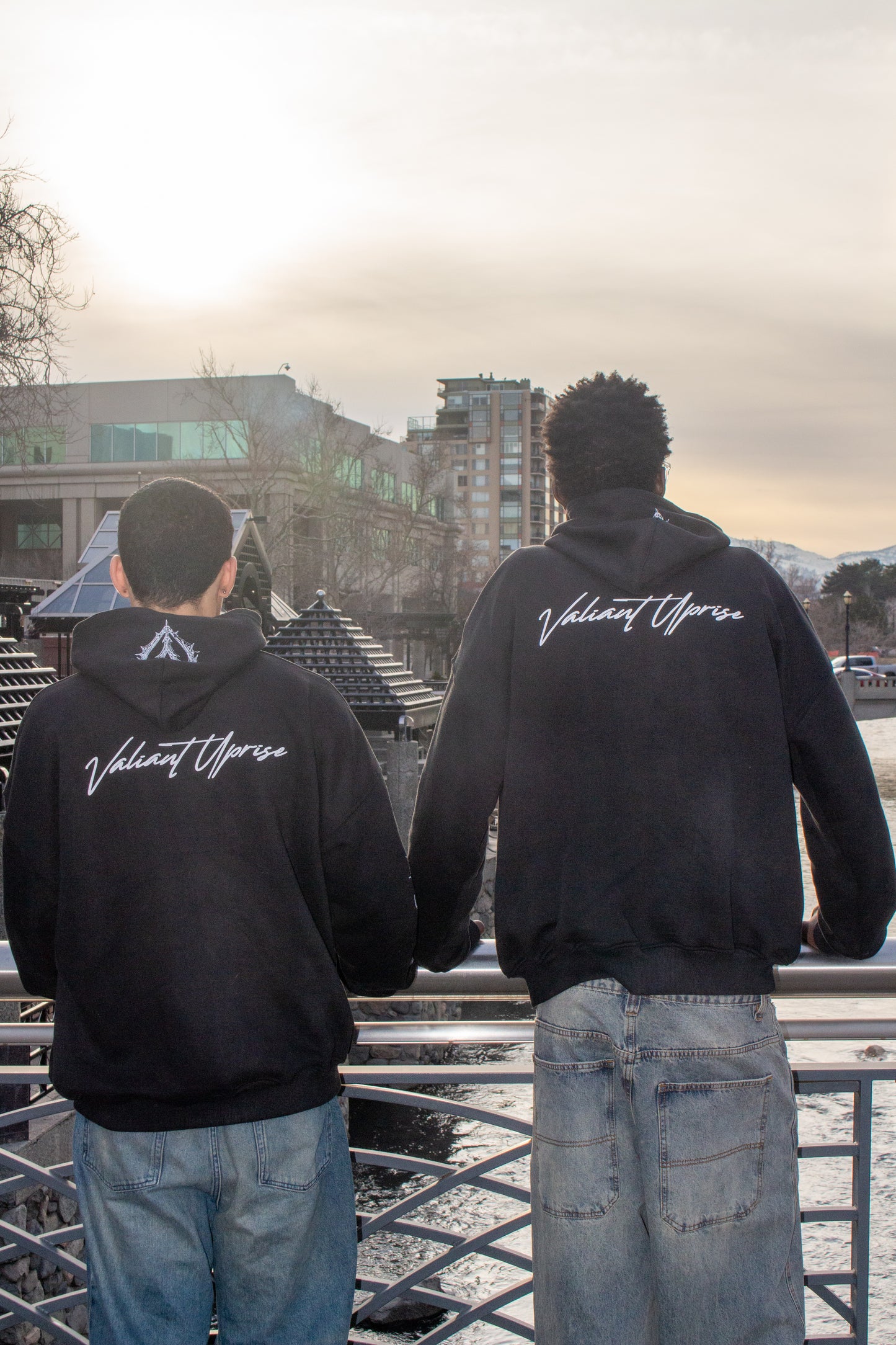 Valiance Reborn Hoodie